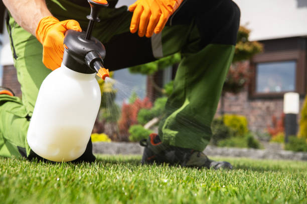 Best Termite Control Services  in Mendota, CA
