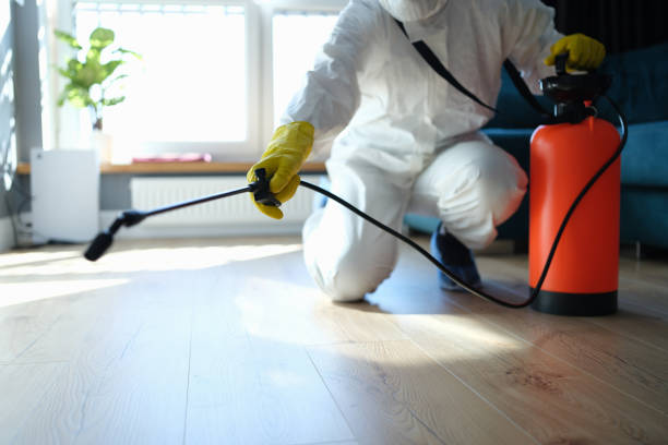 Best Flea Control Services  in Mendota, CA