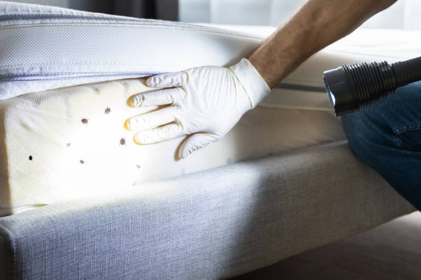 Best Best Pest Control Companies  in Mendota, CA