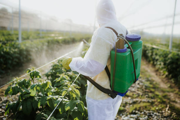 Best Pest Control Near Me  in Mendota, CA